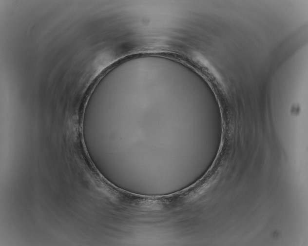 X0000095121457200712301749