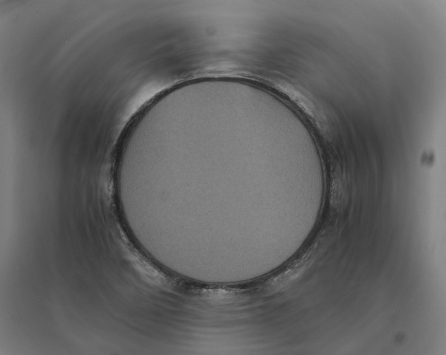 X0000095121458200712301749