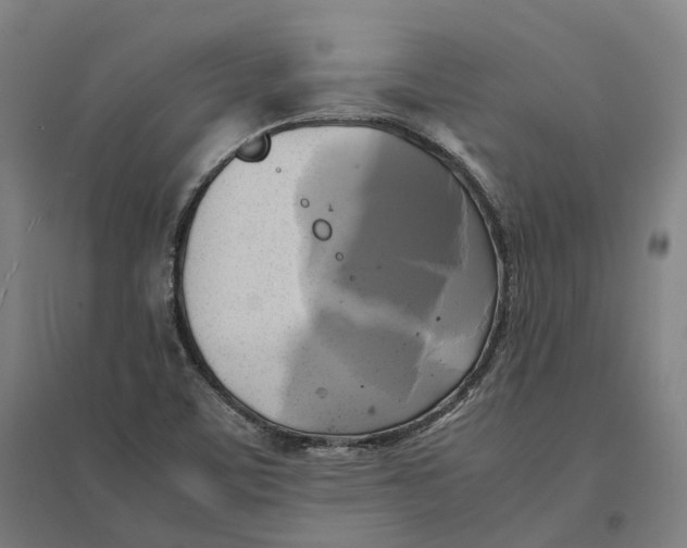 X0000095121459200712301749