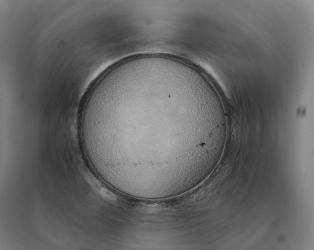 X0000095121460200712301749