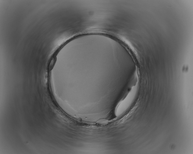 X0000095121461200712301749