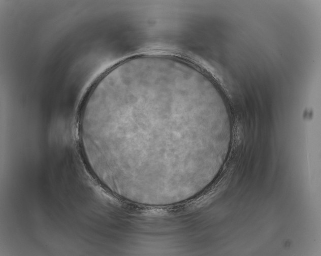 X0000095121462200712301749