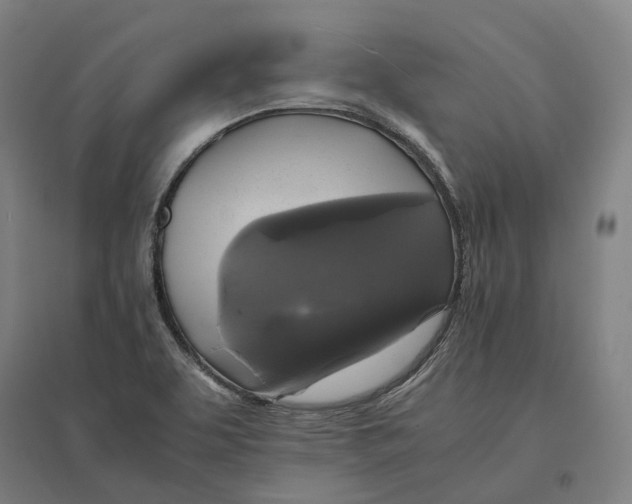 X0000095121463200712301749