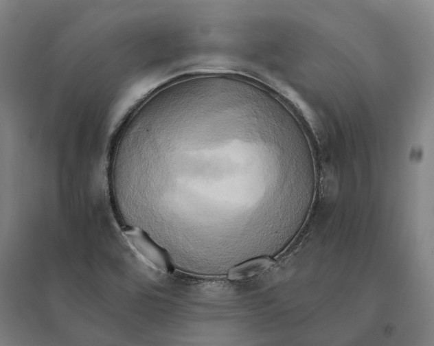 X0000095121464200712301749