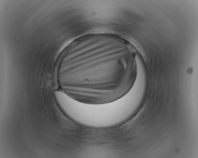 X0000095121465200712301749