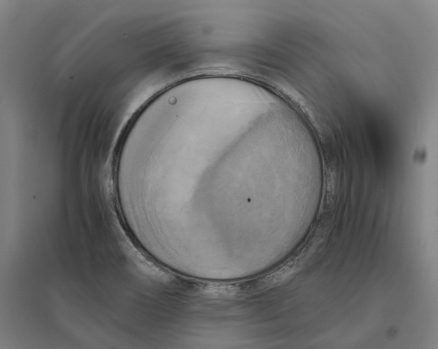 X0000095121466200712301749