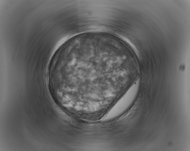 X0000095121467200712301748