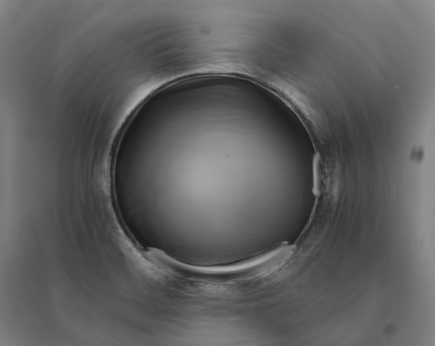 X0000095121468200712301748