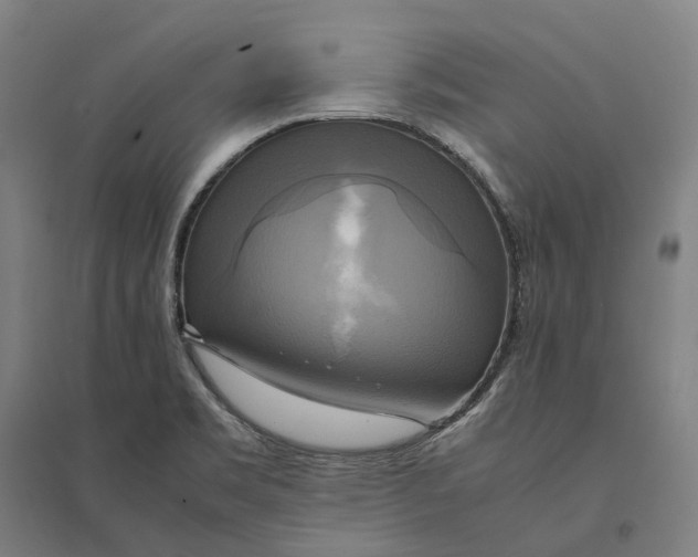 X0000095121469200712301748