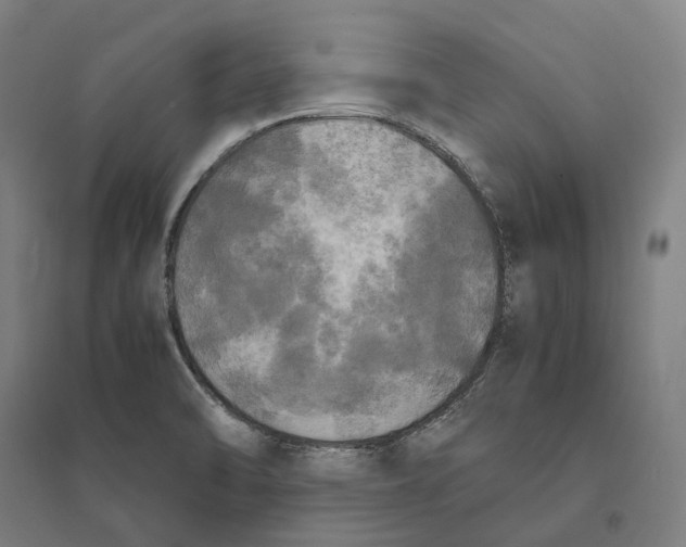 X0000095121470200712301748