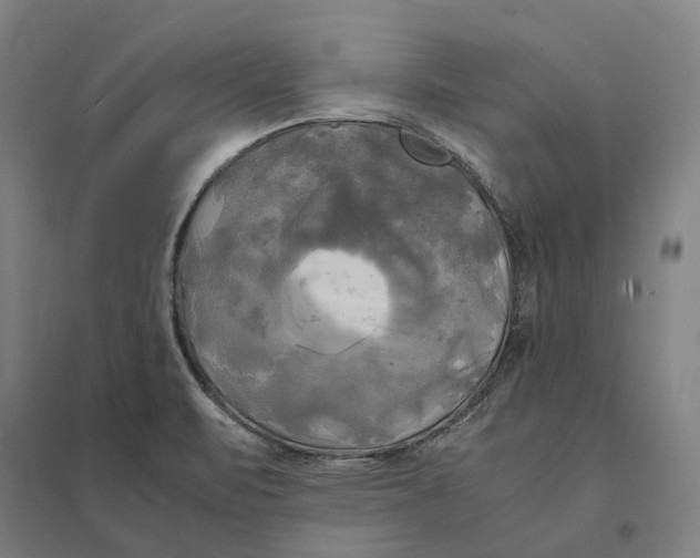 X0000095121471200712301748