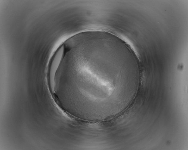 X0000095121472200712301748