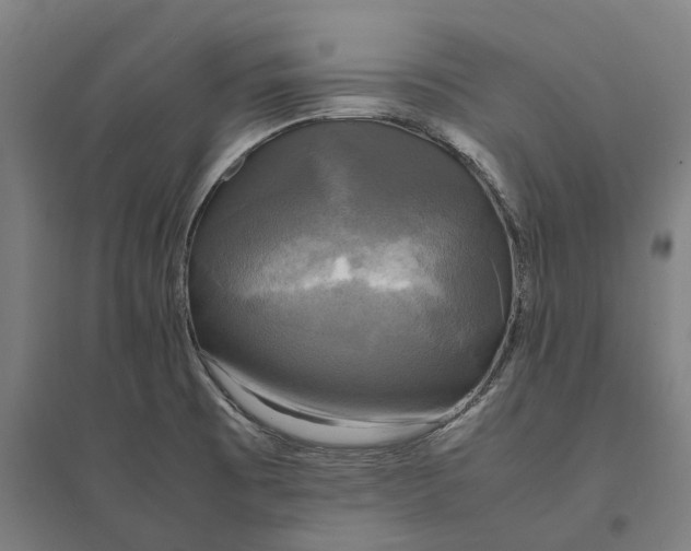 X0000095121473200712301748