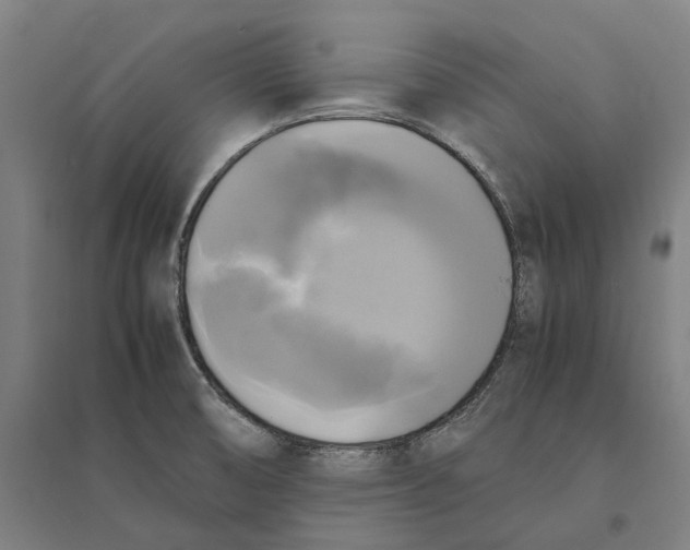 X0000095121474200712301748