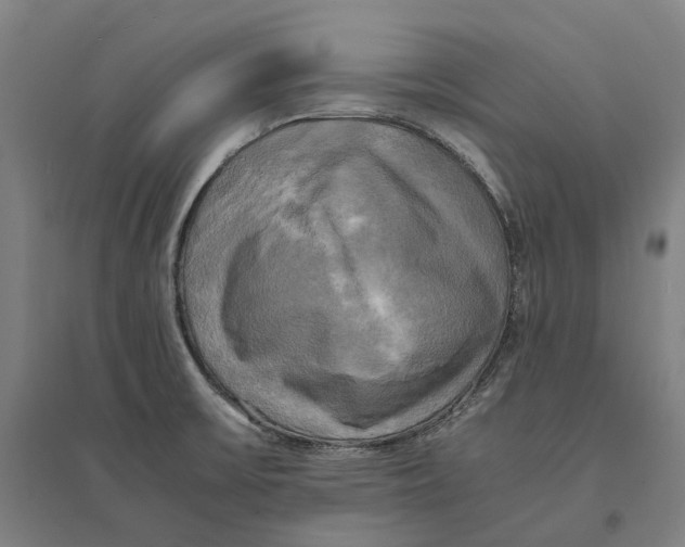 X0000095121475200712301748