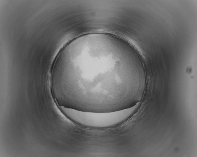 X0000095121476200712301748