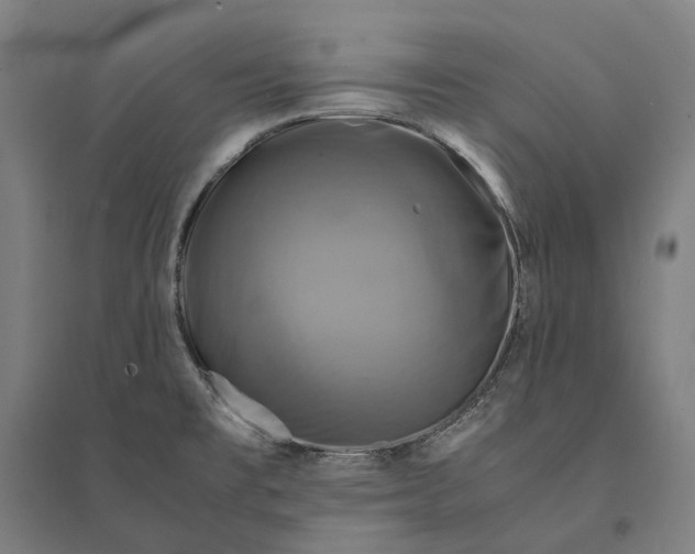 X0000095121477200712301748