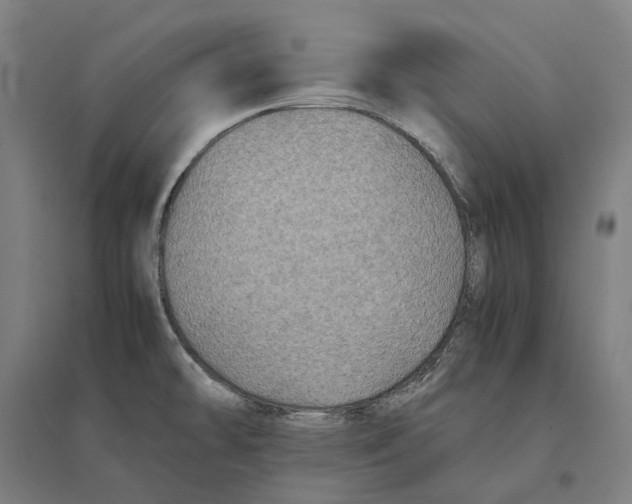 X0000095121478200712301748