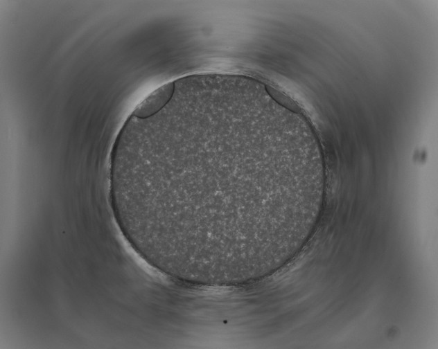 X0000095121479200712301748