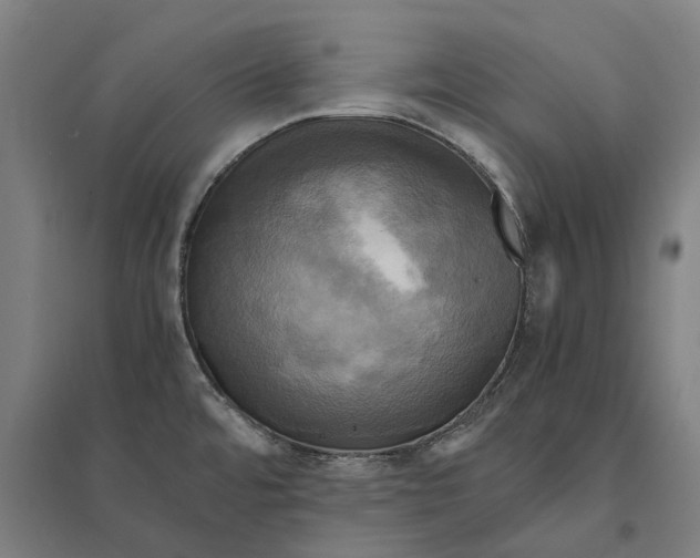 X0000095121480200712301748