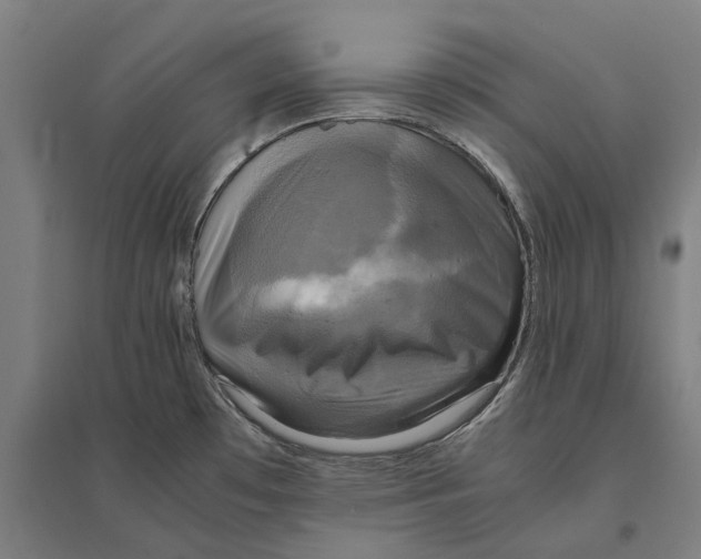 X0000095121481200712301748