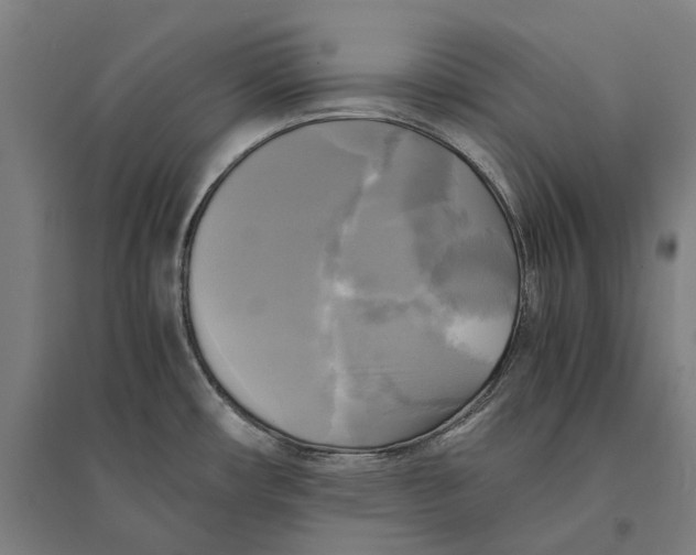 X0000095121482200712301748