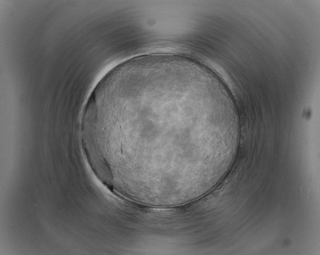 X0000095121483200712301748