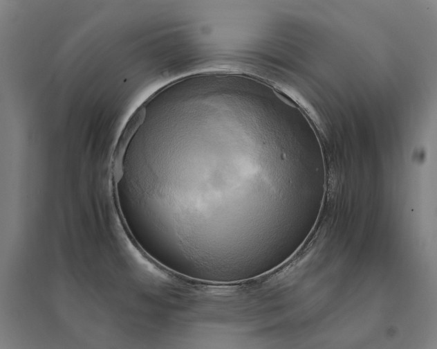 X0000095121484200712301748