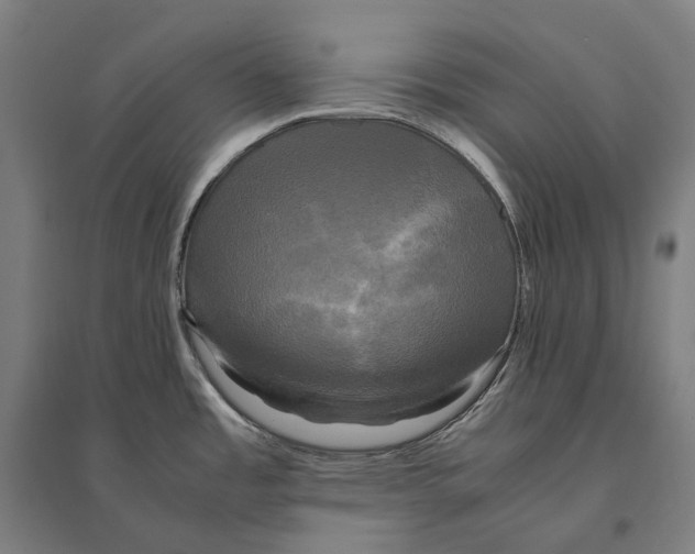 X0000095121485200712301748