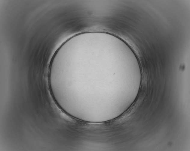 X0000095121486200712301748