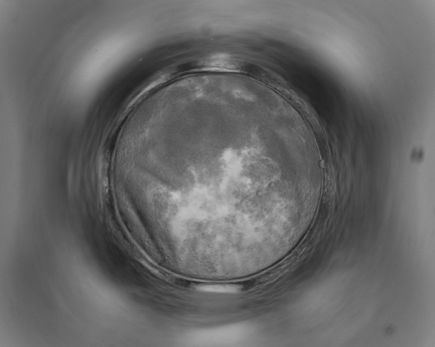 X0000095121487200712301748