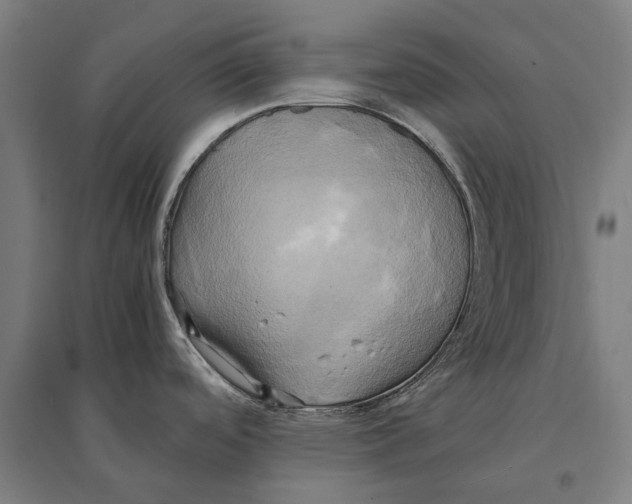 X0000095121488200712301748