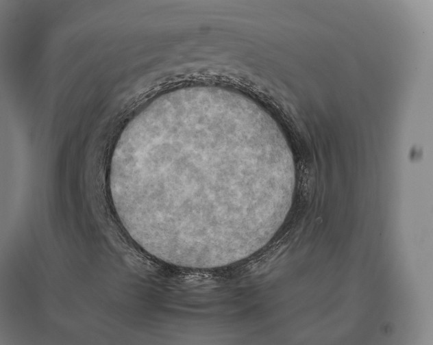 X0000095121489200712301747