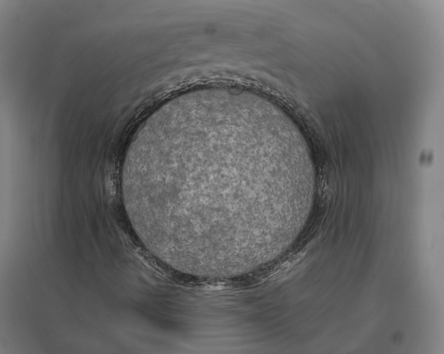 X0000095121490200712301747