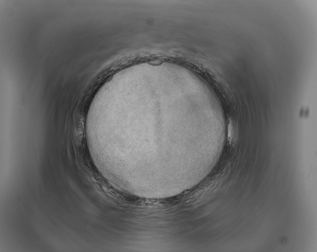 X0000095121492200712301747