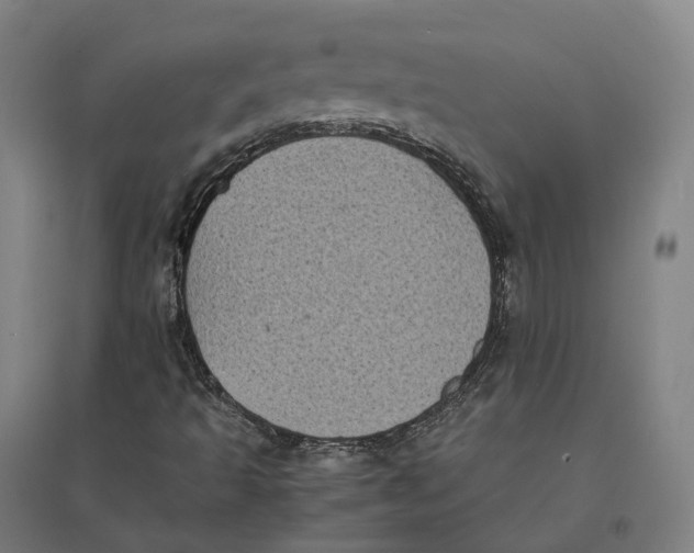 X0000095121493200712301747