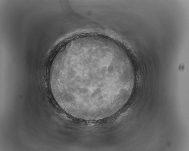 X0000095121494200712301747