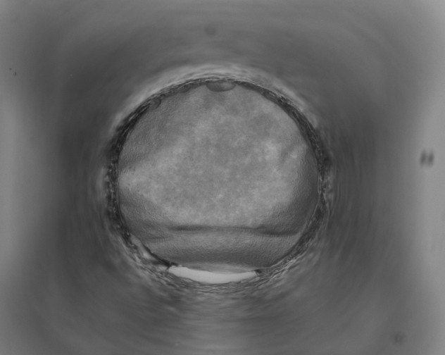 X0000095121496200712301747