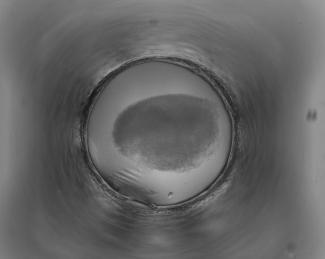 X0000095121497200712301747