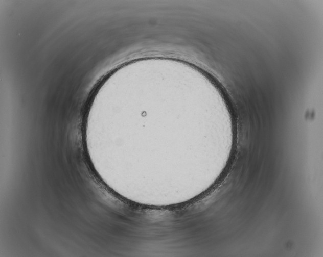 X0000095121498200712301747