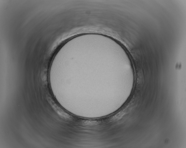 X0000095121499200712301747