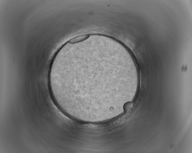 X0000095121500200712301747