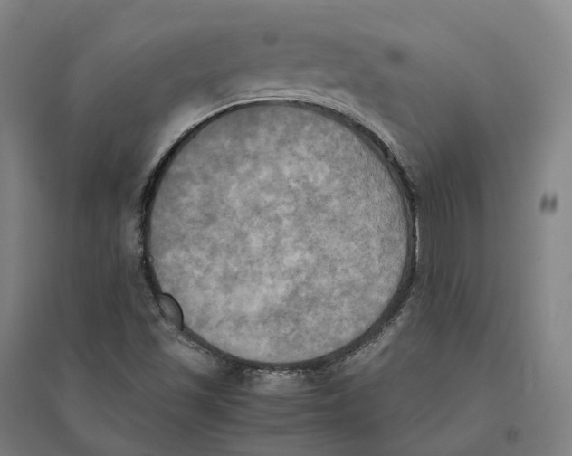 X0000095121501200712301747