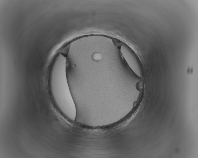 X0000095121502200712301747