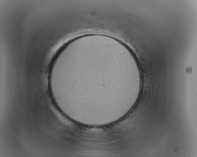 X0000095121503200712301747