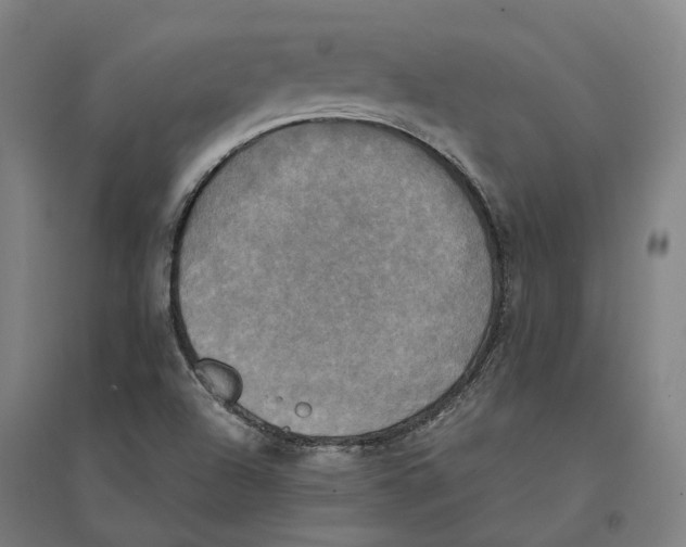 X0000095121504200712301747