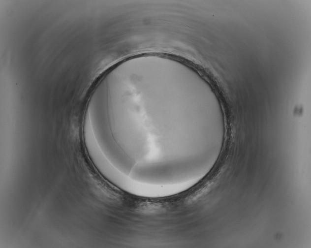 X0000095121505200712301747