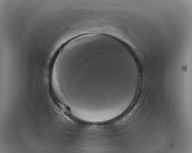 X0000095121506200712301748