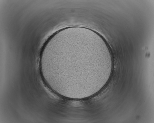 X0000095121507200712301748