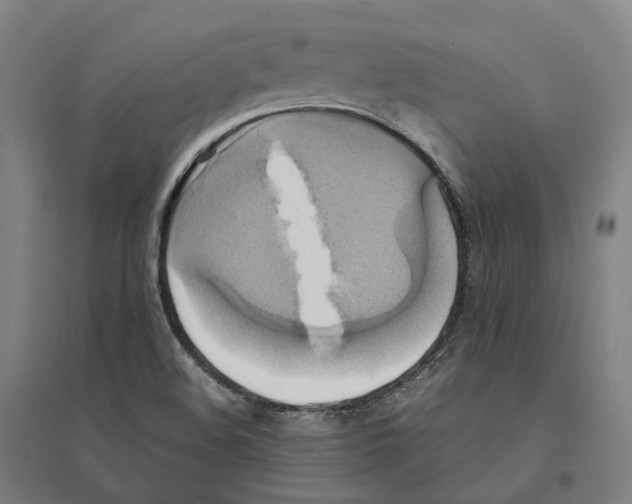 X0000095121508200712301748